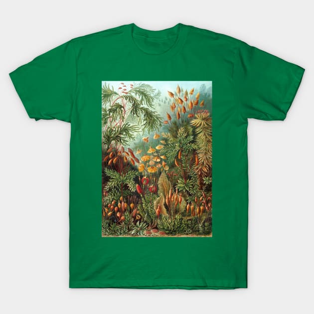 Tropical Moss Muscinae by Ernst Haeckel T-Shirt by MasterpieceCafe